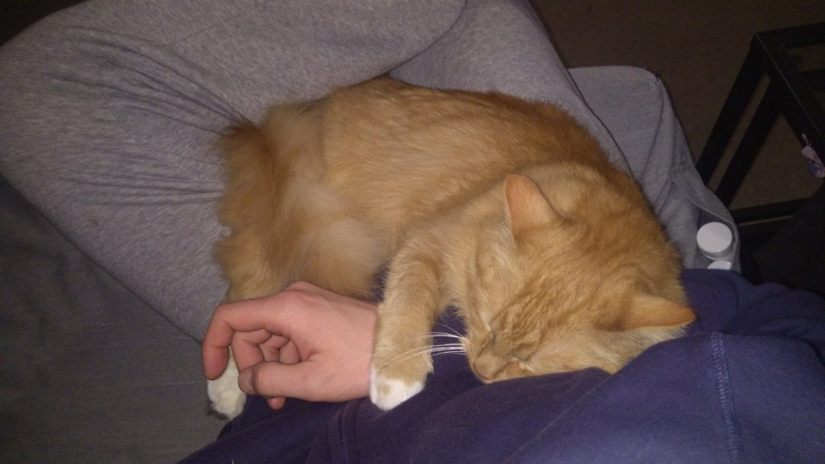 17a4e072-aa15-495a-a041-93b72fa97b77