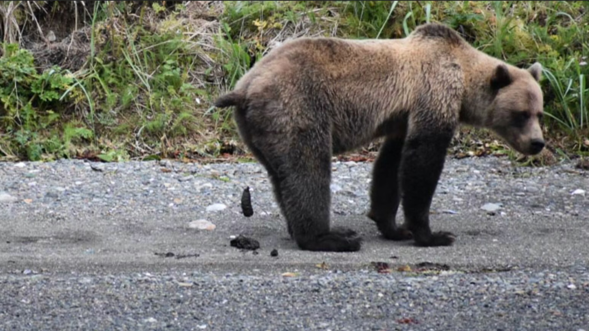 1ae56e93-c503-4469-91b9-a7ce0fdda6e9