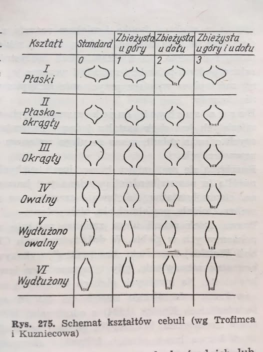 2b8ced32-ae31-4748-bf40-e97eb6296f5d