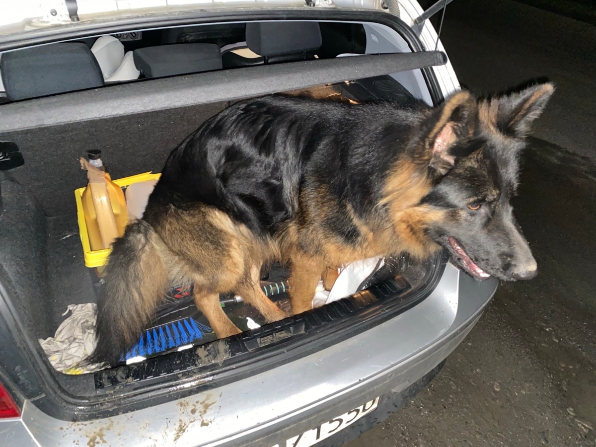 cc7abedc-7e76-4a7e-bad8-f001aa211e91