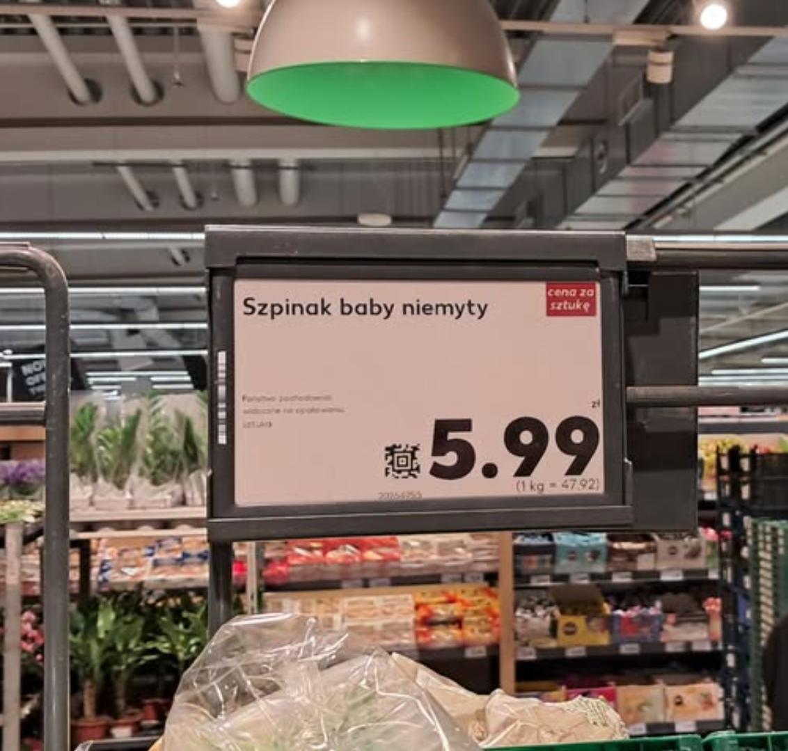 113b9951-bdb6-45e5-9a42-425ad5fd3b09