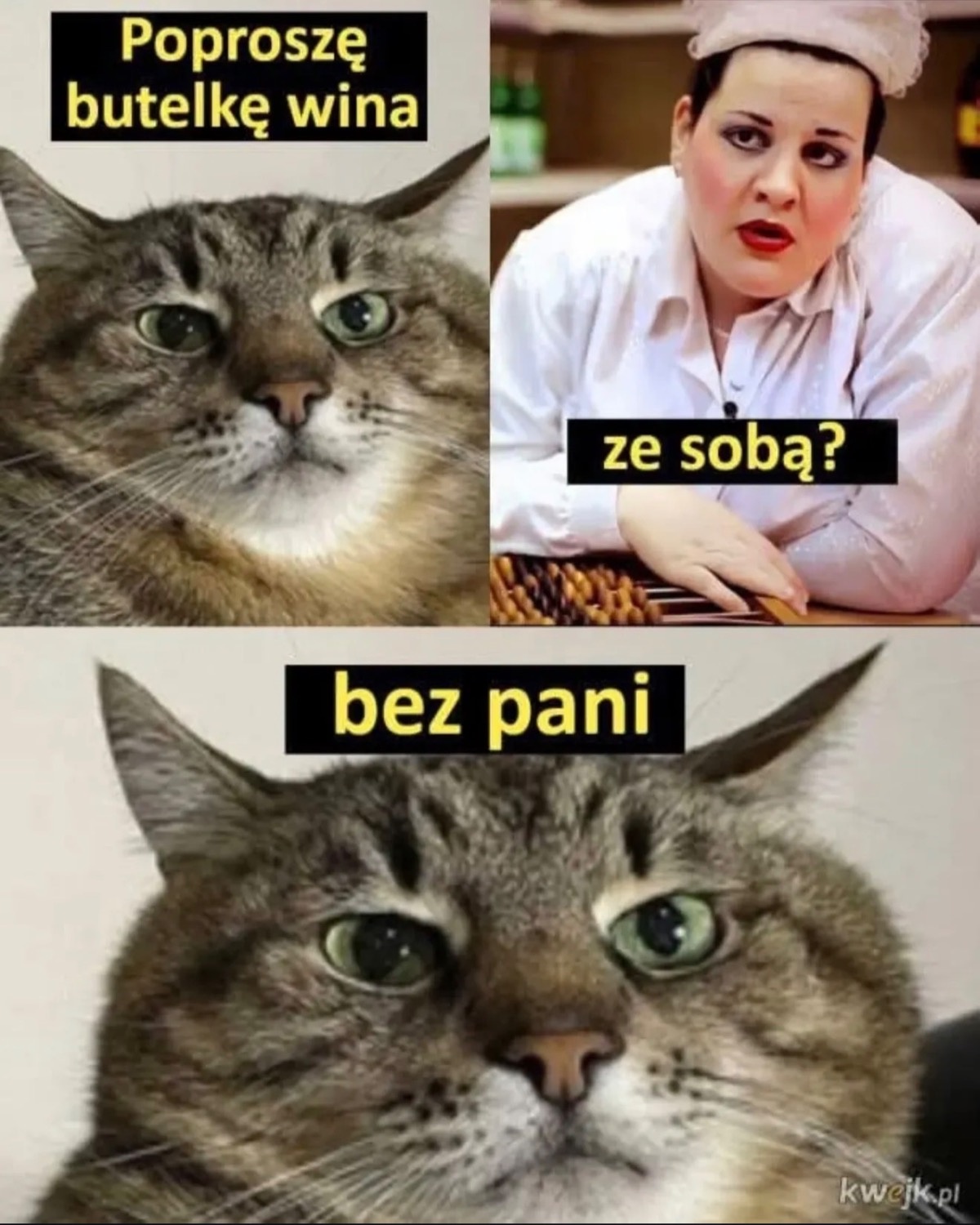 ae468ac4-450c-4219-aa23-2d85eba6d557