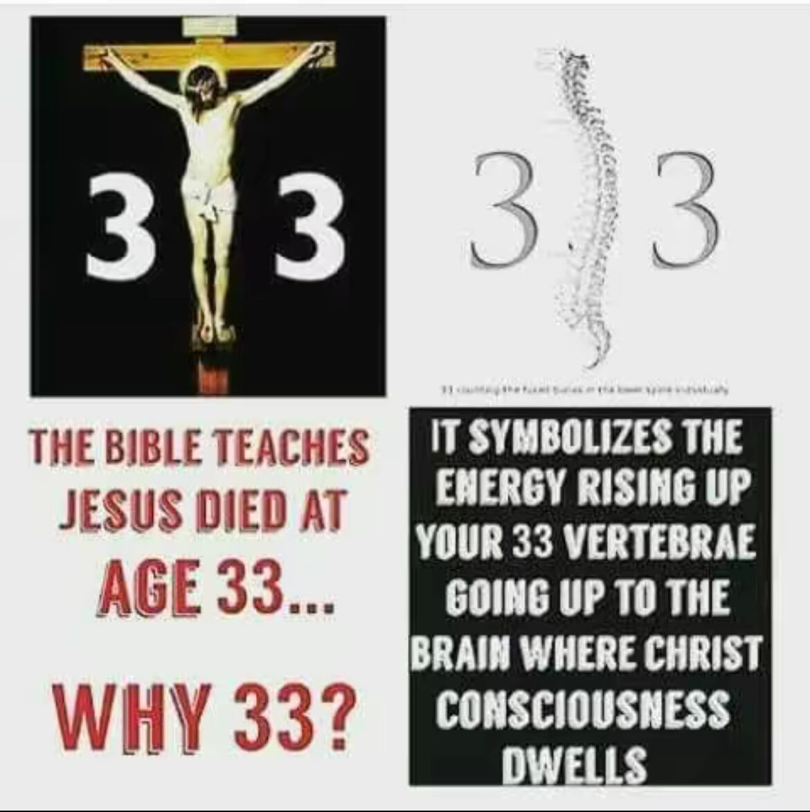 fa2bb0ae-363c-4875-a276-537abb769430