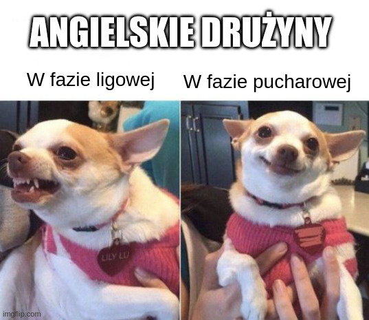 ab7a80e0-fb2a-4190-bf9d-99876816b152