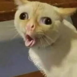 c8a4d3d3-d78e-4a32-871a-002cf4b34f24