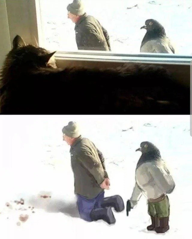 8b0470f1-c550-484e-b265-82258ff972b2