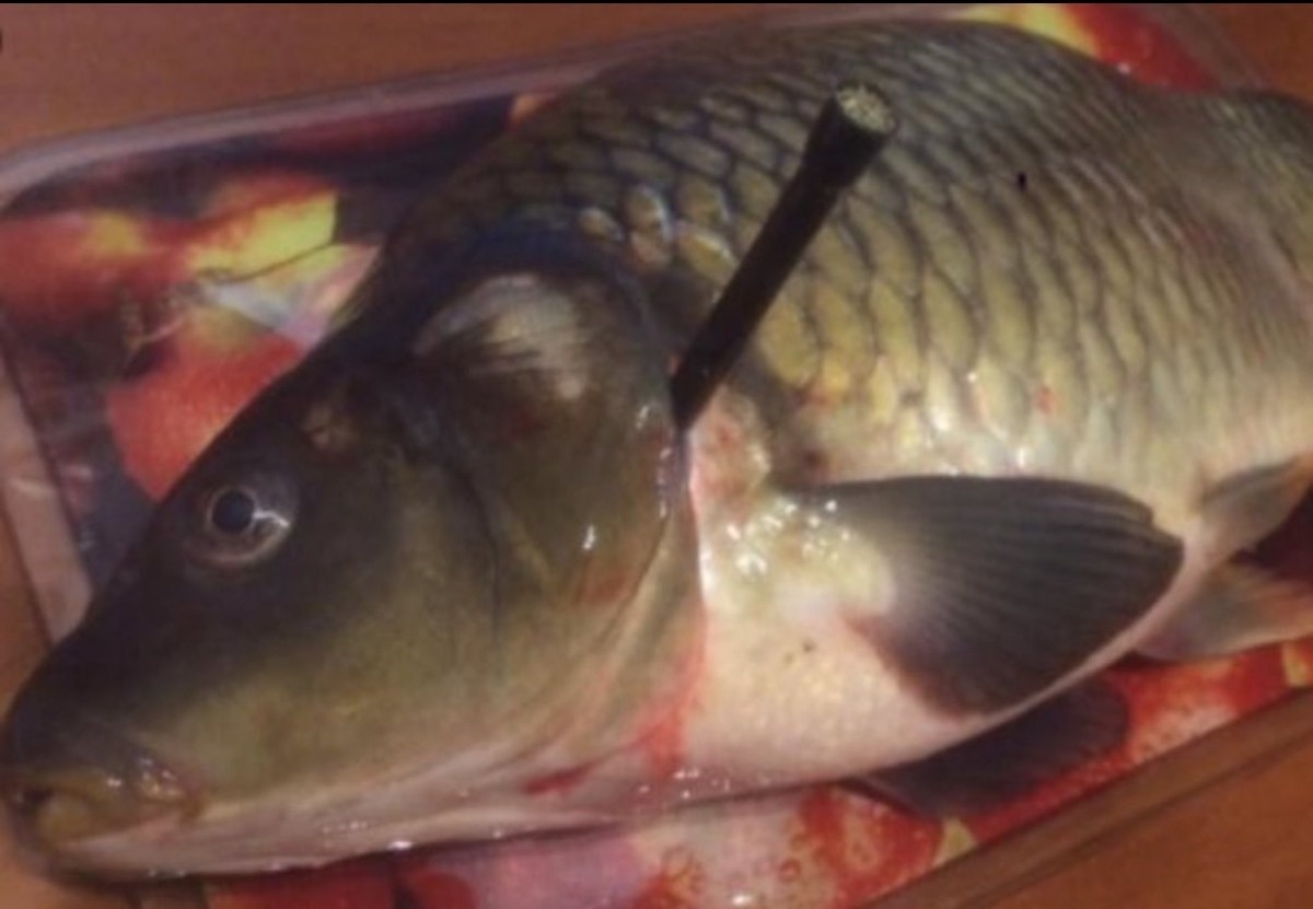 c17c2e44-5eca-44db-a905-a3d86ab2b6ba