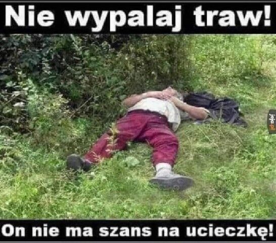 e8052215-bd07-45dc-9187-cb6a66dc0379