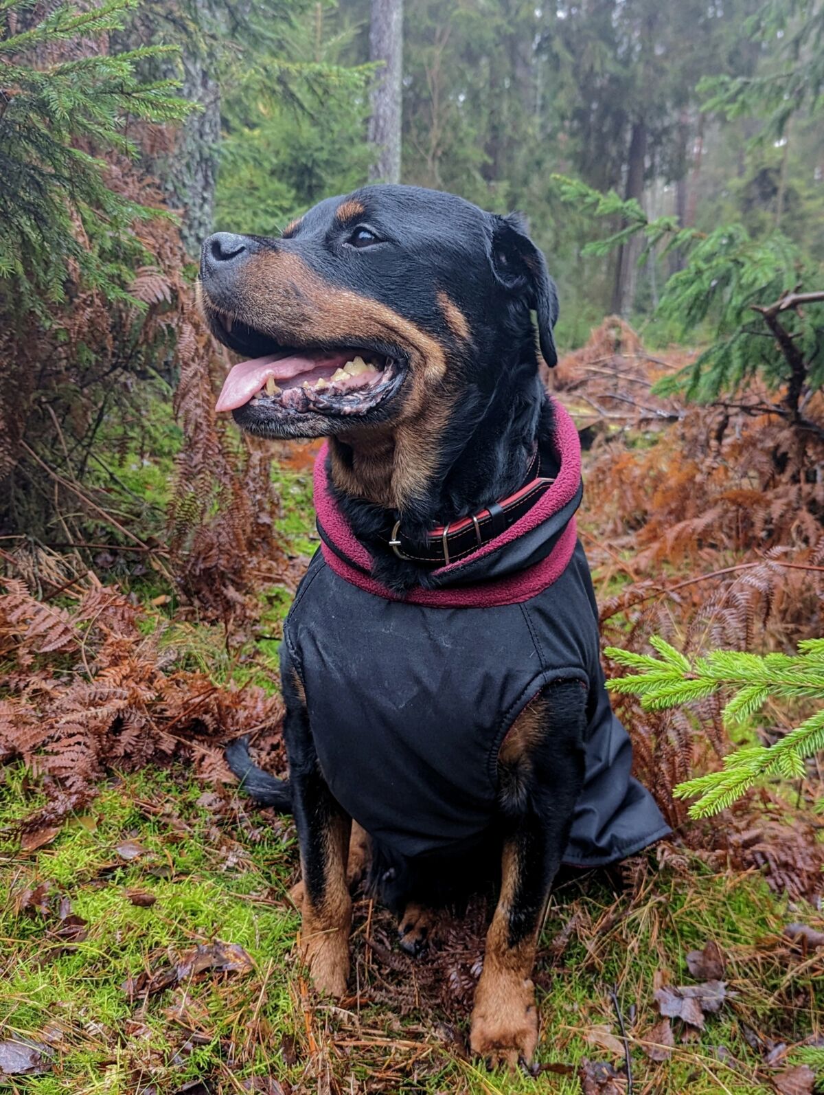 b0ca7bcc-4a78-4209-910d-ab7b9f3154b4