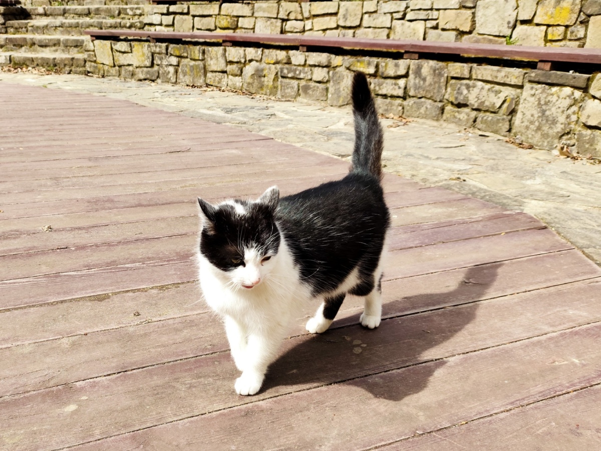 aaee9deb-9b7e-464b-a725-f1faceade68f