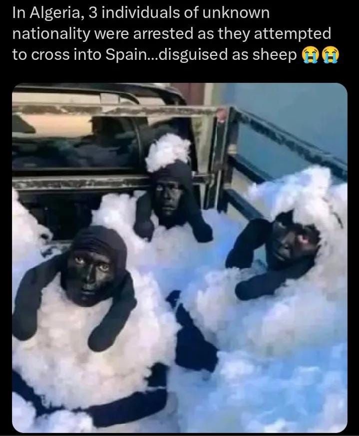 e9cac68a-3fb1-4244-bcb9-727816960071