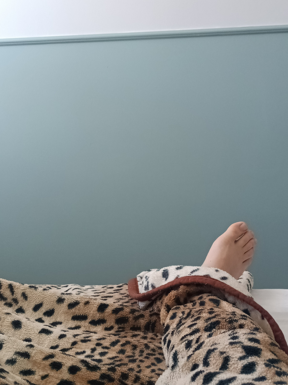 232e8965-a849-4acd-b07f-a753113c6fa2