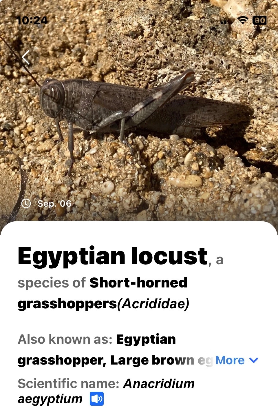 51a591ac-3f3f-4c9b-86c0-545d96f57877