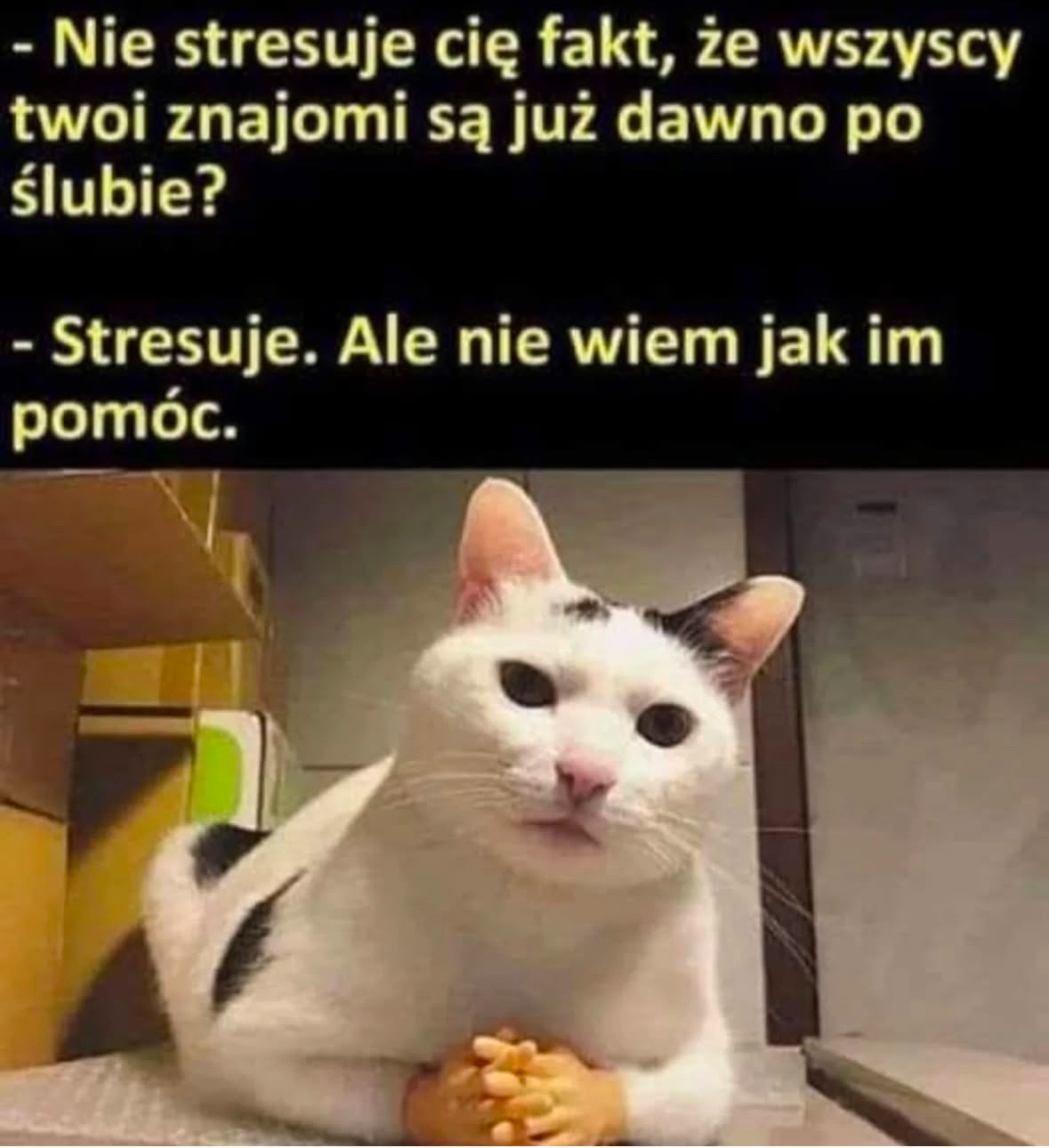 59aa13da-9b64-40ba-9d6d-e050701cf7fe