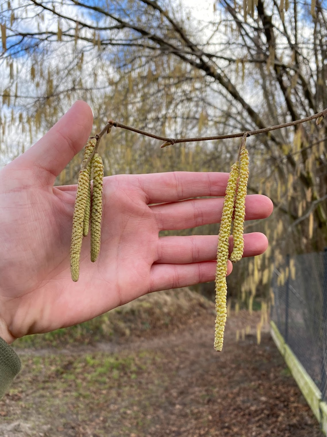 Początek roku w przyrodzie! PRZEDWIOŚNIE!