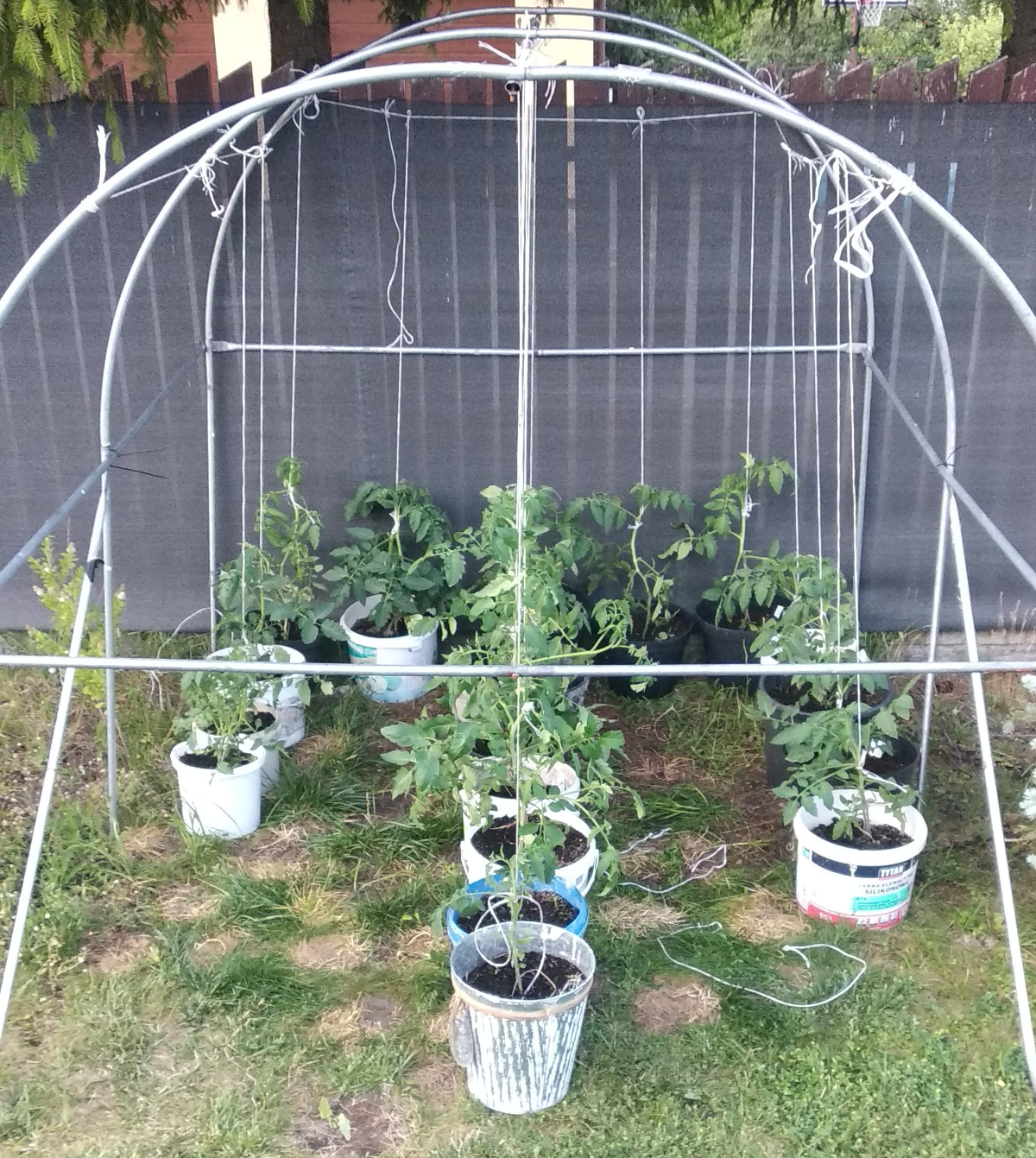 bc3ba643-734e-4df4-aa6c-c132bdffb217