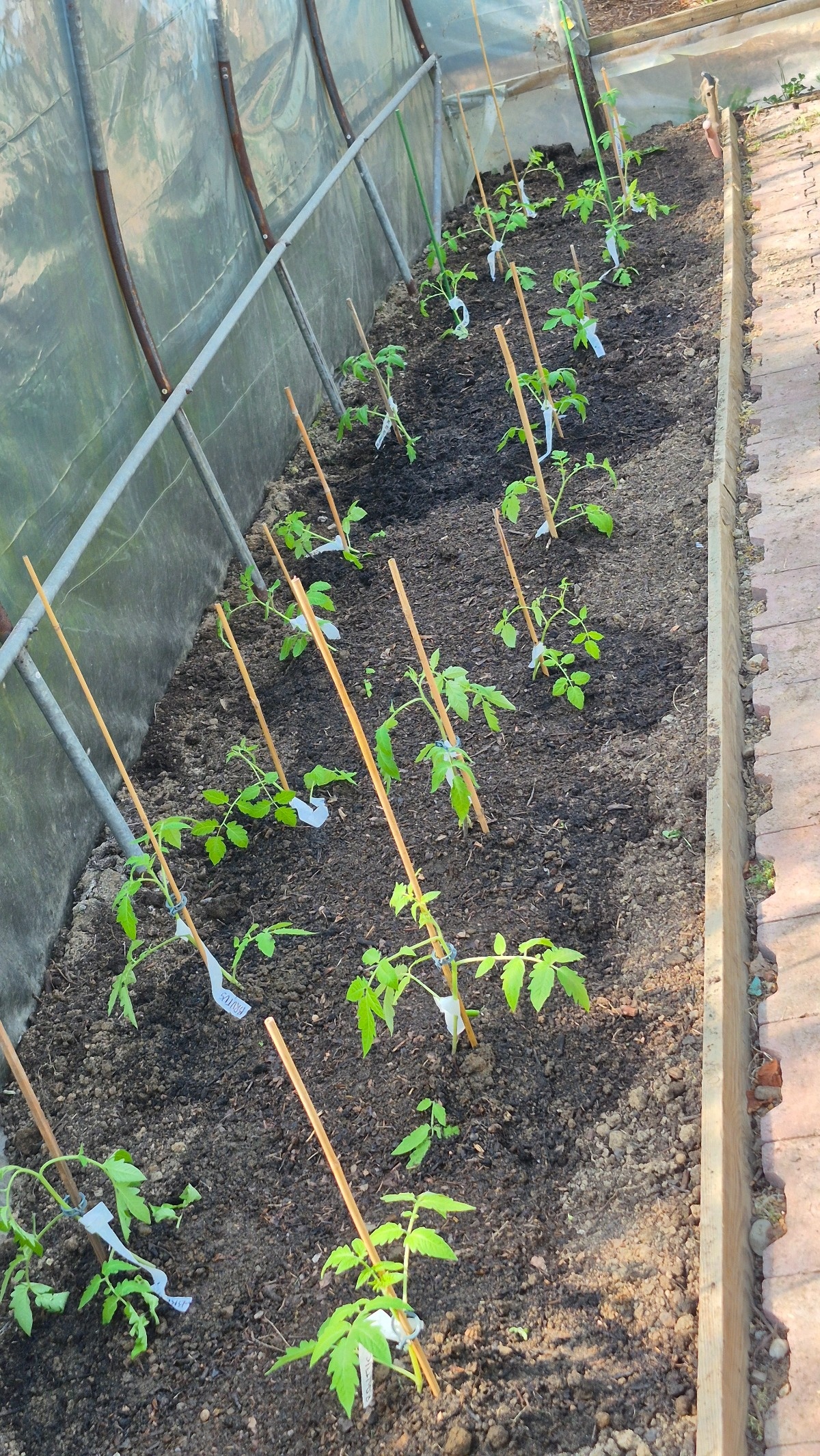 59c8a238-032b-4735-9818-2b15ba0acca9