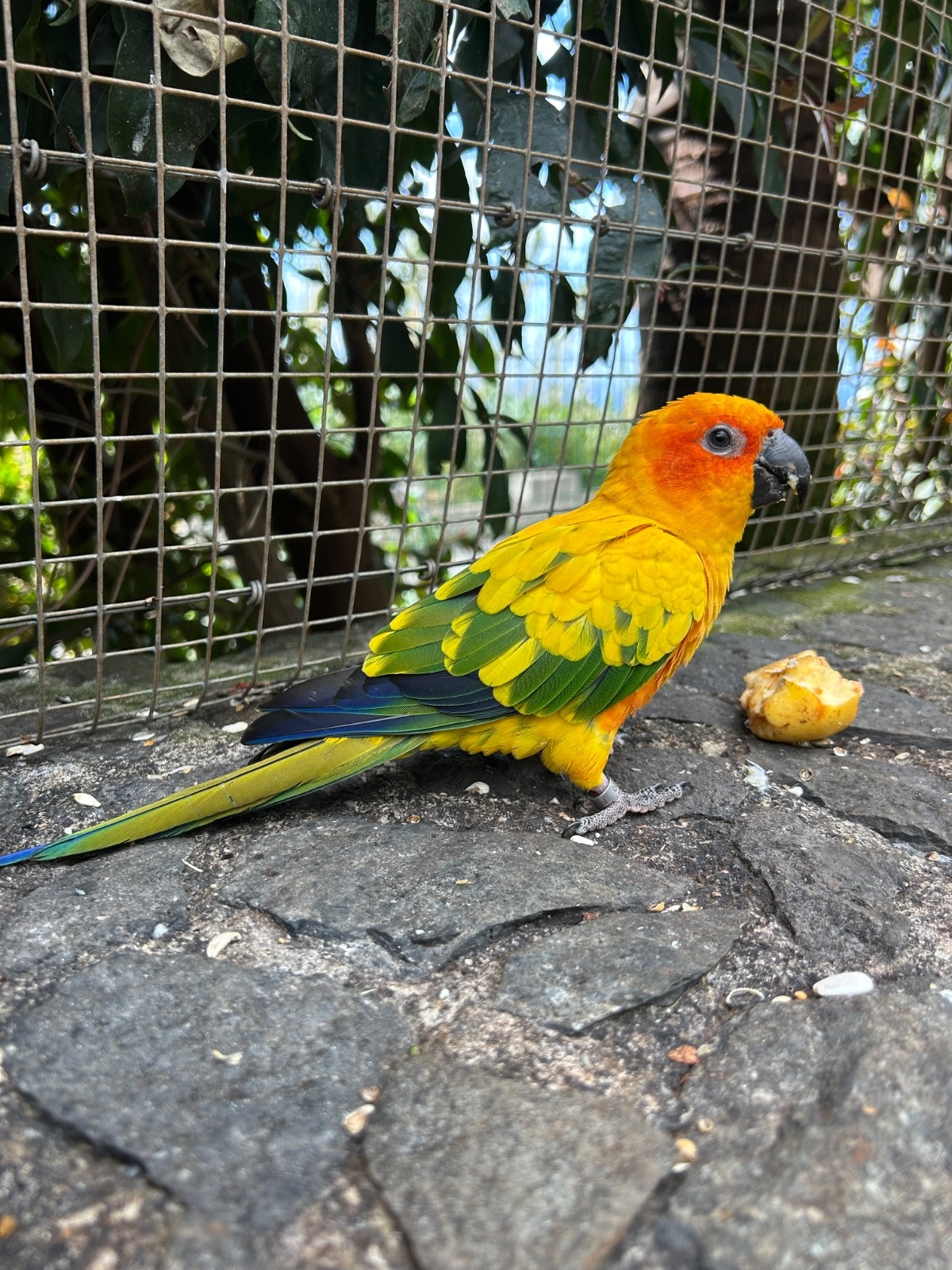 a123ca5c-4310-4dc7-b3ed-00de540ee562