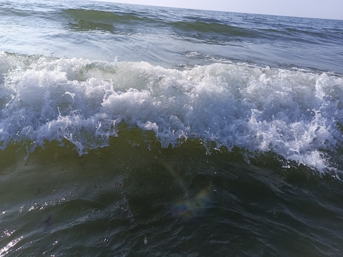 8754de22-3713-43b5-848e-19879074f6d6