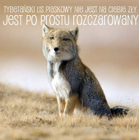 dac8ac9d-2a11-4c1f-98b3-9023123bd072