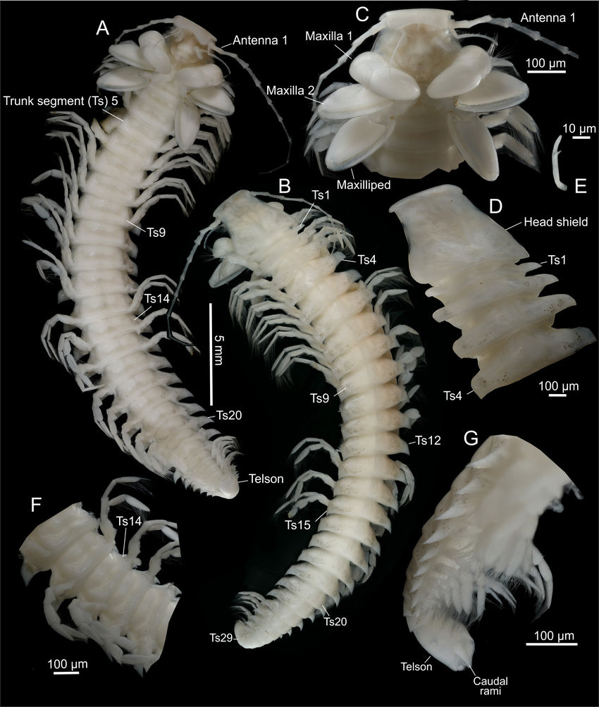 77c0c4ff-2b4b-4497-b183-543d78eaa4f2