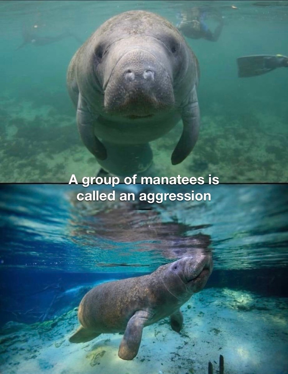 1ec72f3c-61e1-4443-93e0-e344a810ac14