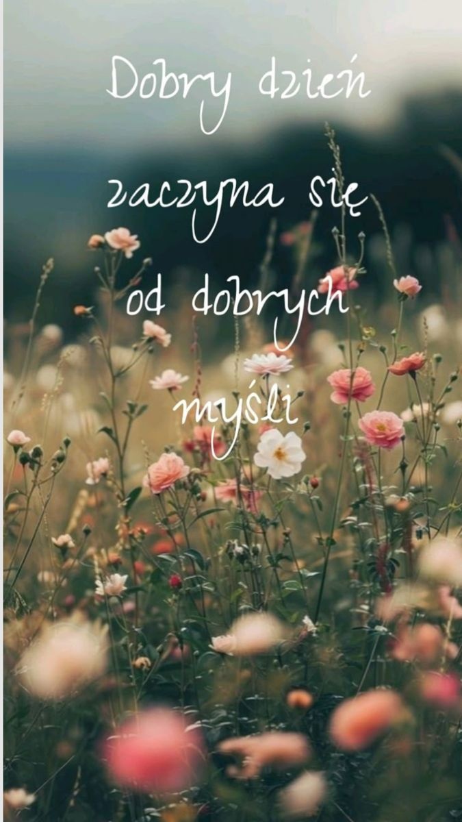 6898adea-31ac-4ec5-abf6-5b40b42409cd