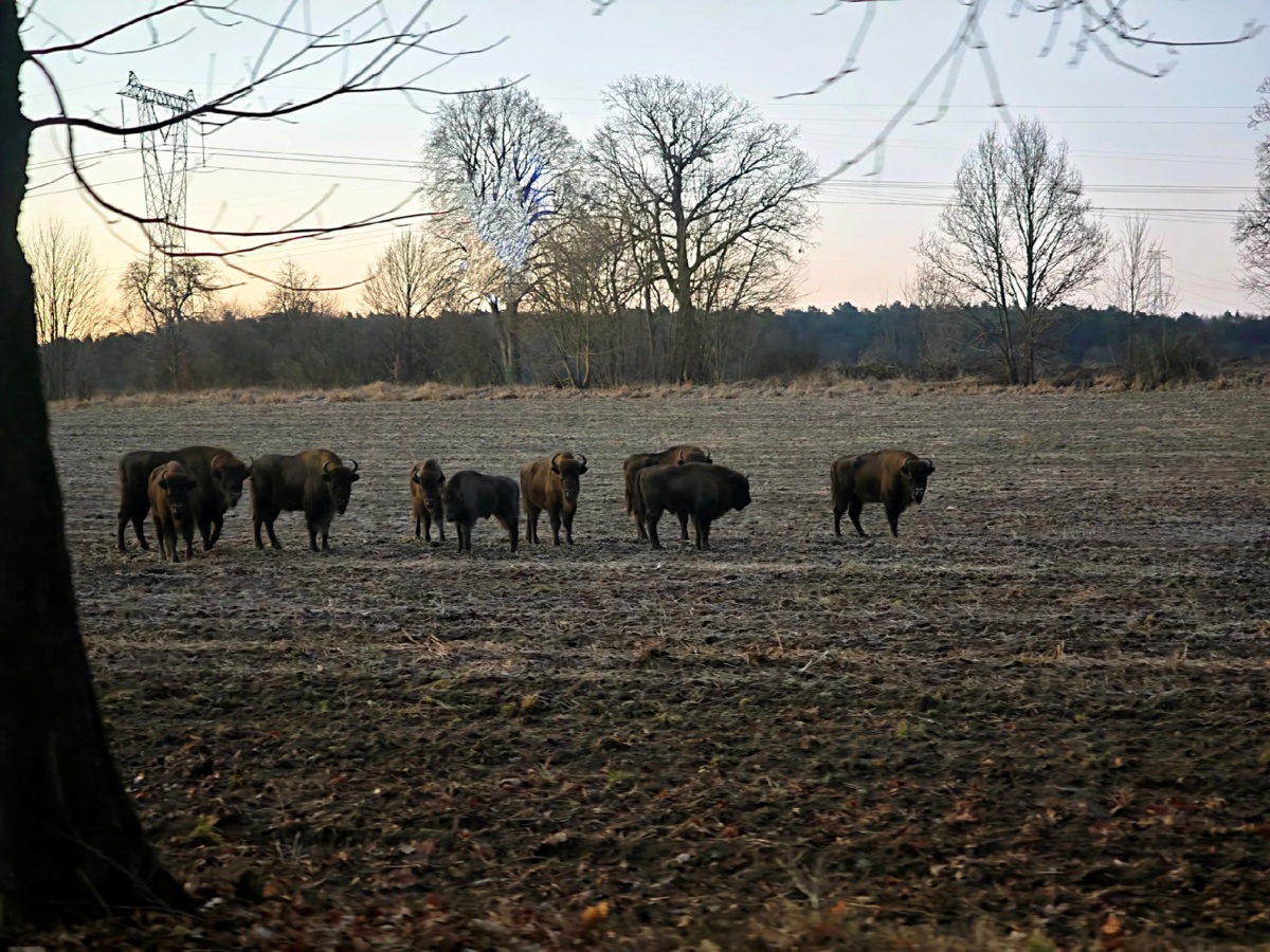 e42b8ad3-f29a-4df3-87c1-4382c0b3b0d2