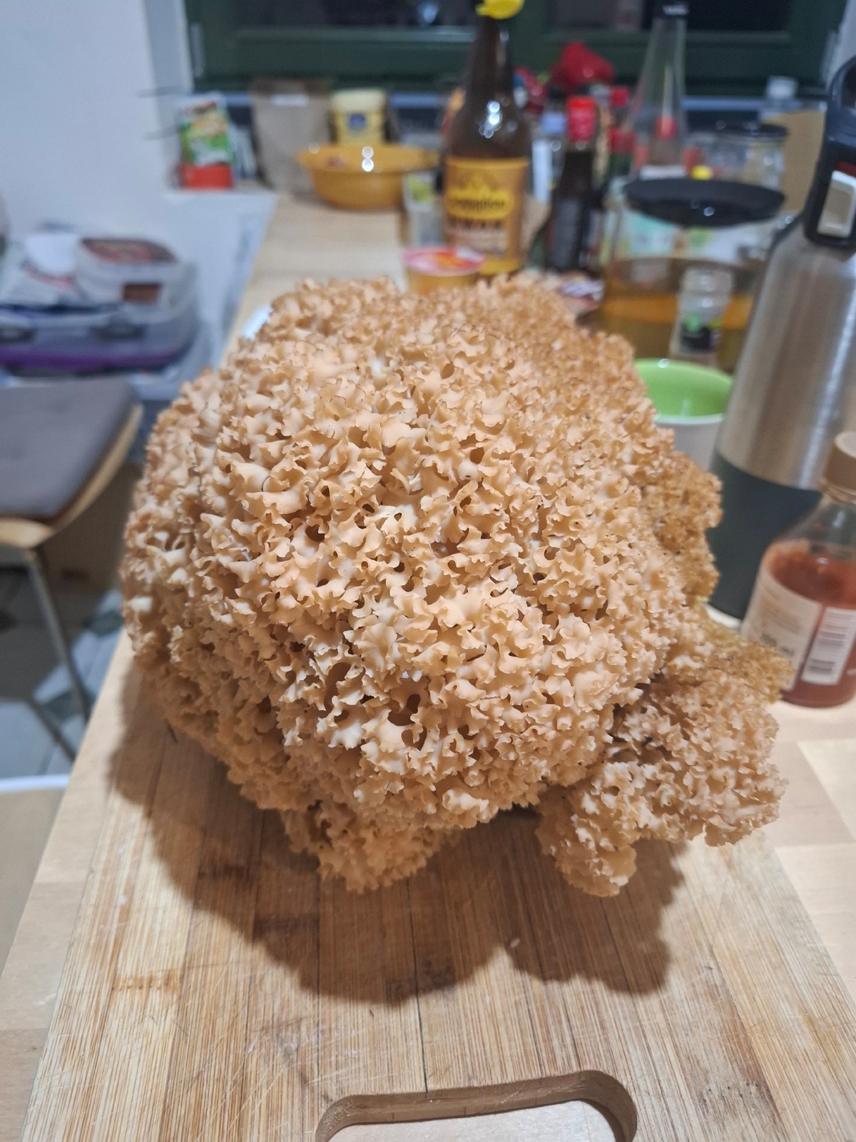 664c149c-94f6-4124-8c8f-85dbe7a36e06