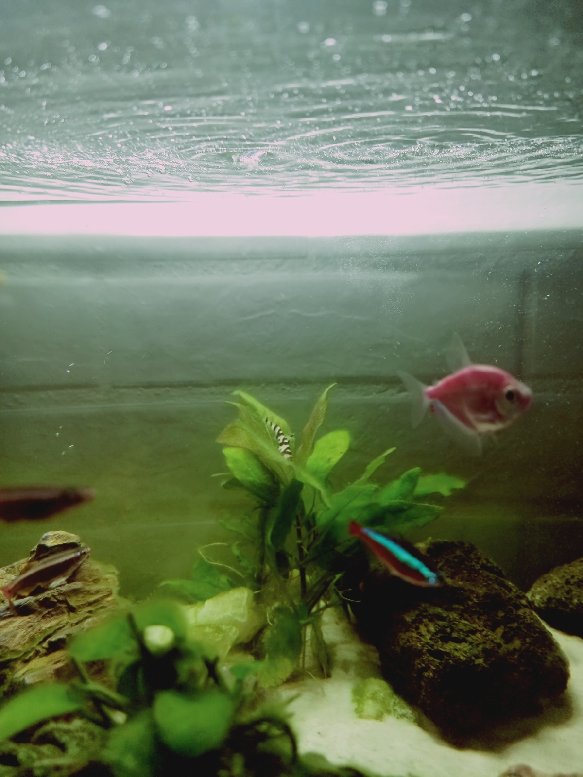 e16b6293-6b49-4415-a58a-ff937b171682