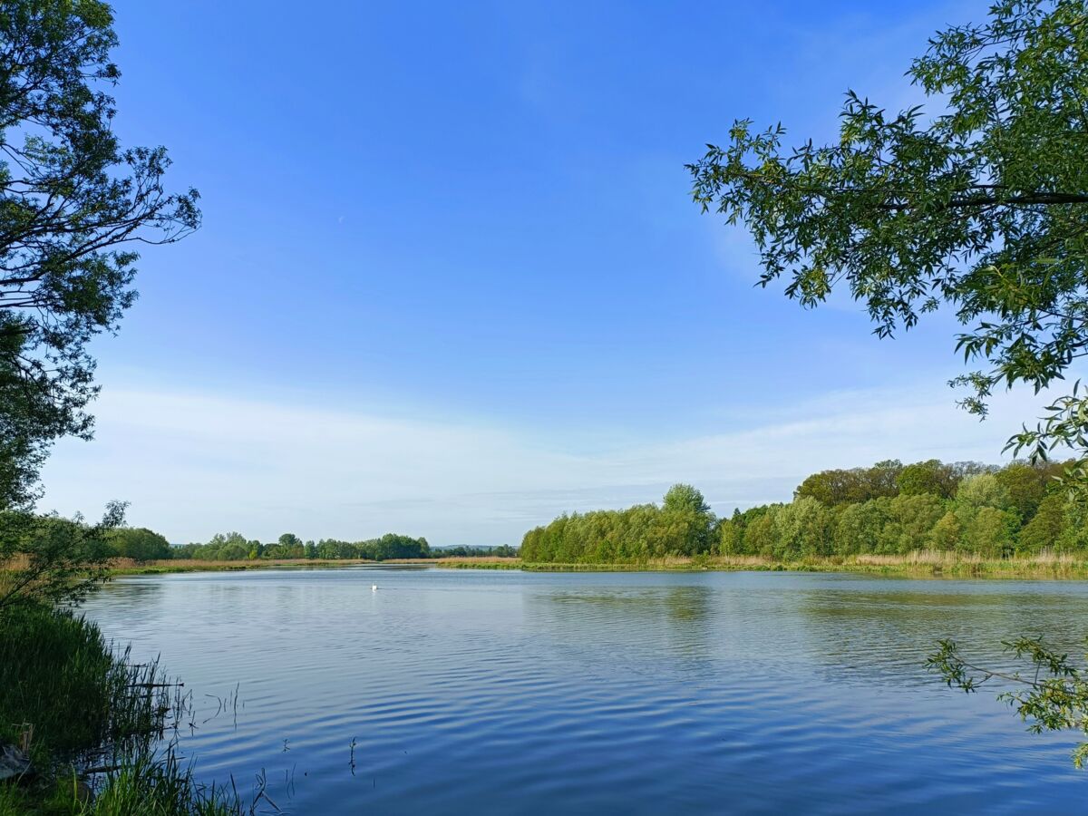 6827771f-024c-425f-8e3a-81211260003d