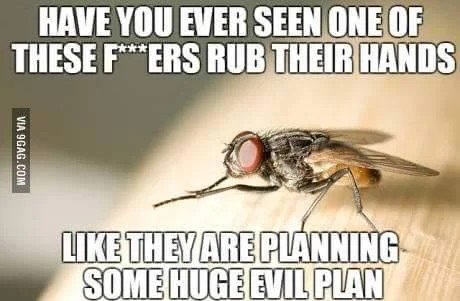 8f6bc973-816b-4d46-b864-4813511fec67