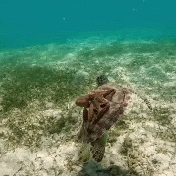 868c59db-c802-4ce8-925b-8632da5e61b9