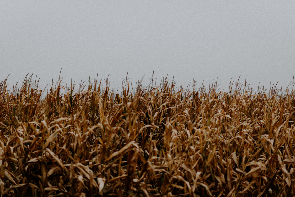 b215b187-63ed-458c-8e6e-3e1eb733449d