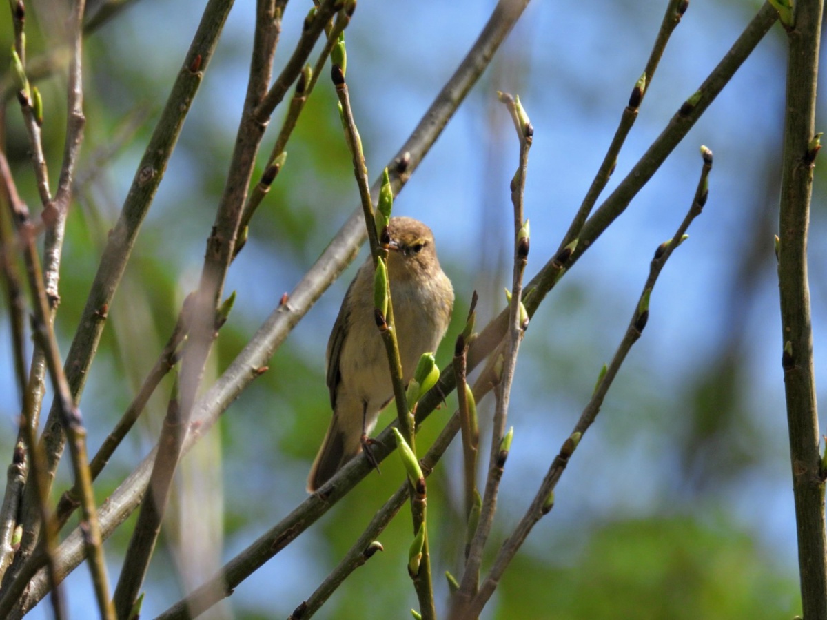 158a5bd5-038e-465f-a159-9cbbaf1bc9bf