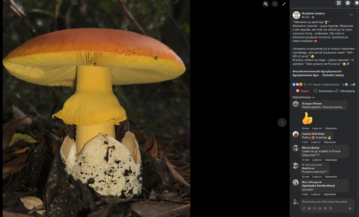 dd32154d-2766-4a03-9614-09036135f00e