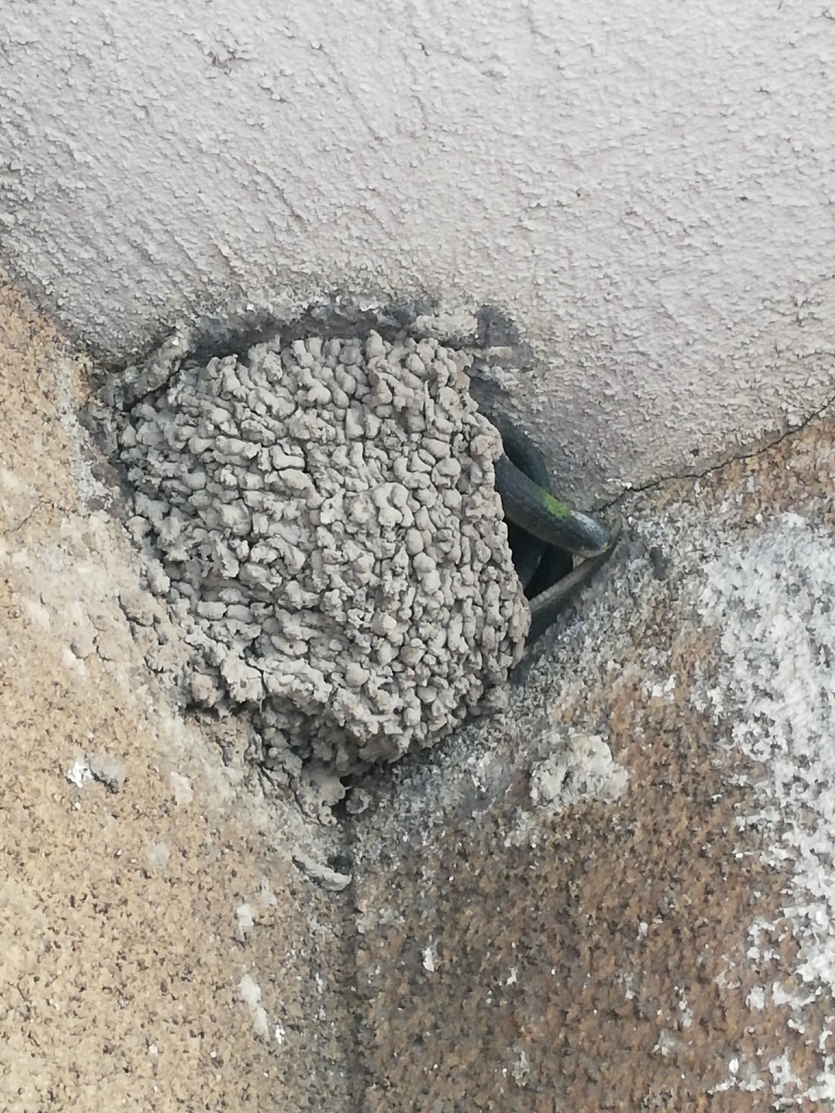 668b903f-543c-4f77-9fc3-d59474e2aa95