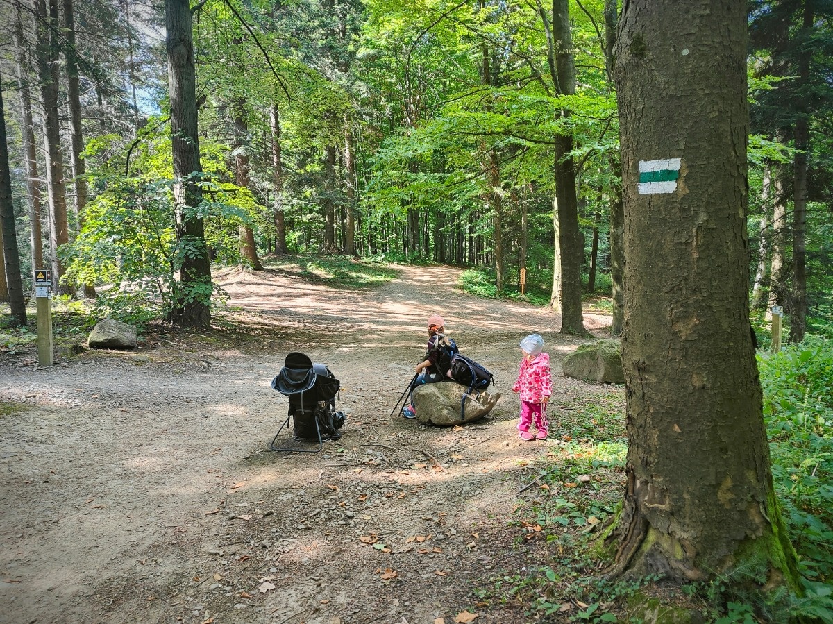 0baa6b45-299e-4acb-8717-09d8a9a5fb5b