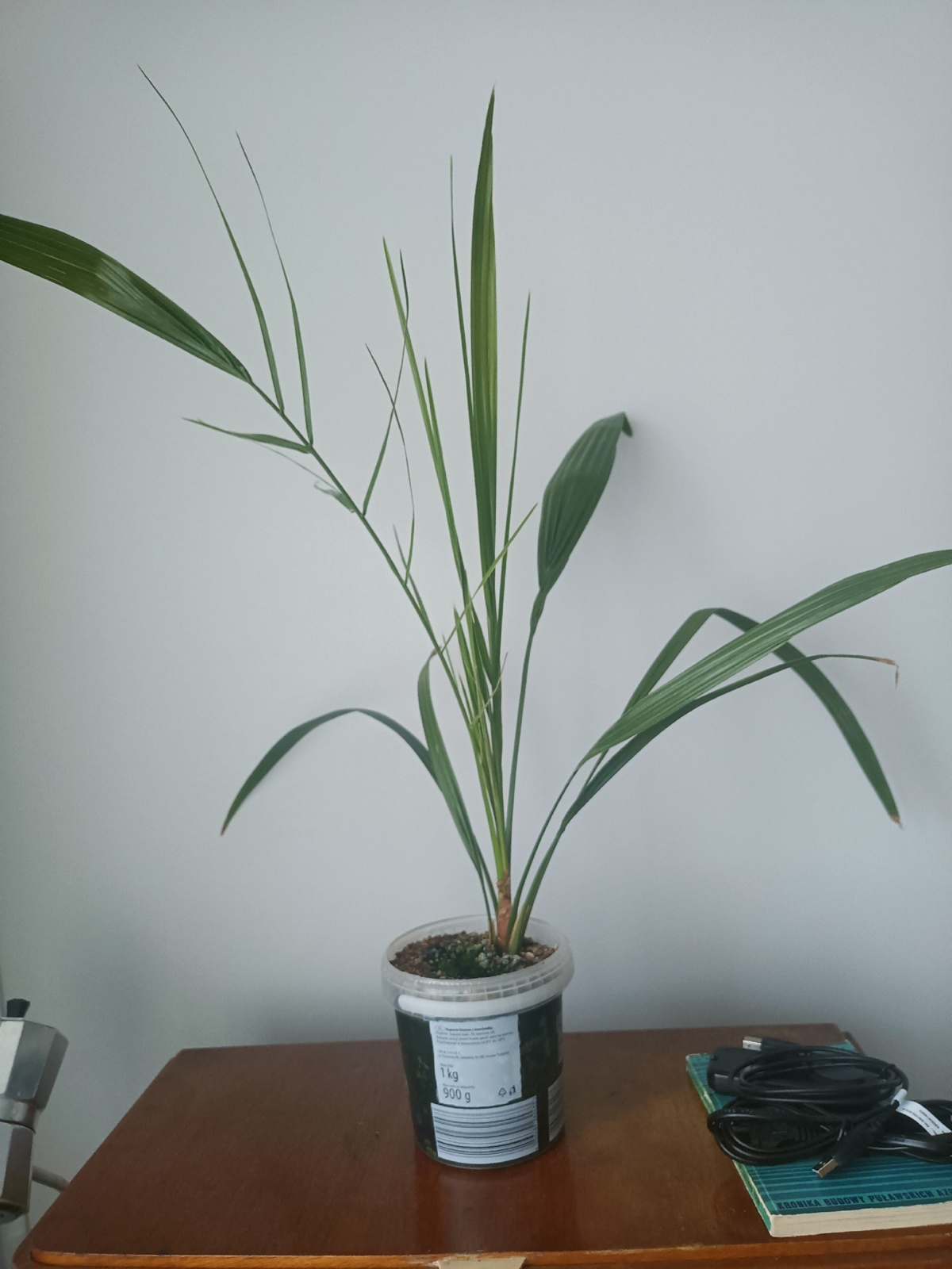 7a7fa45f-0e60-40c7-9e0d-8aed4cd765d1