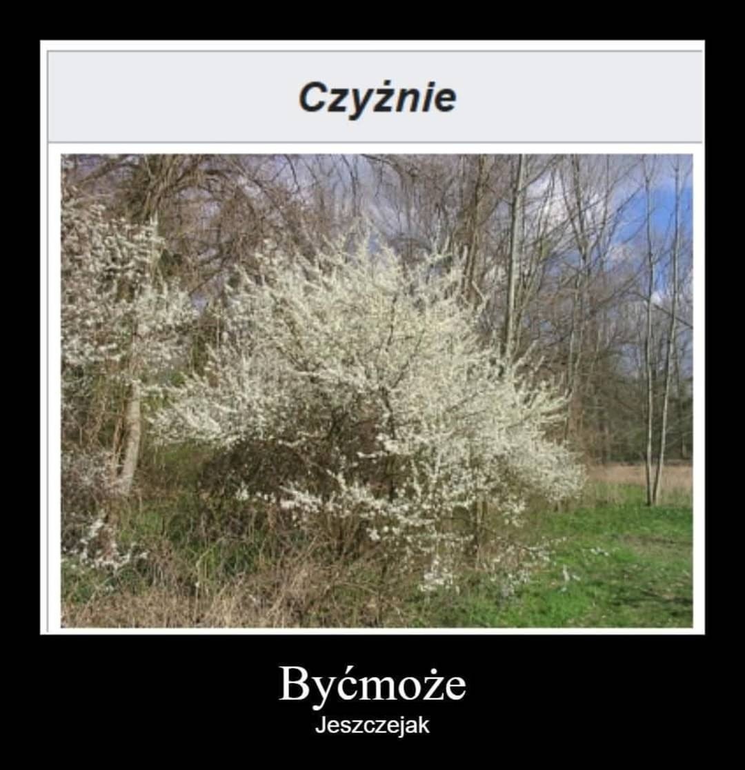 0afa9269-c615-42c4-b346-54a3e8337b0b