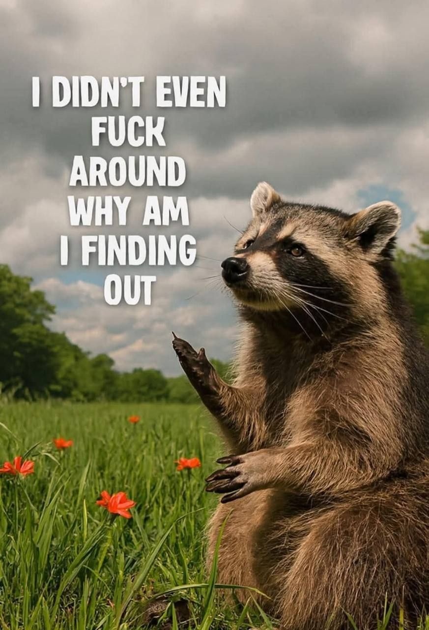 21432e2f-49c5-4adb-bba9-5223aff4e4da