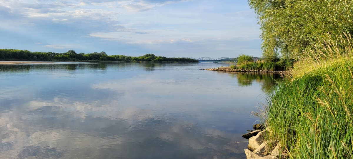 3ce49b76-7e6f-496a-a252-7a1157f215c3