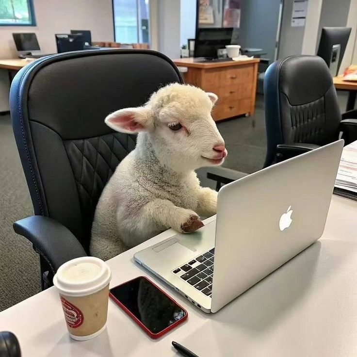 9eb1b7f3-40cd-4c4a-8ec5-e1f6ca113a2b