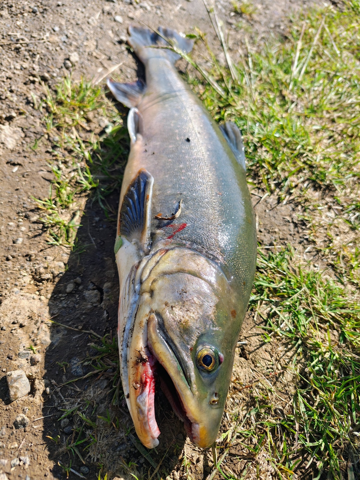 c5c6a565-8284-4d62-a54d-1c83e1b29e0b