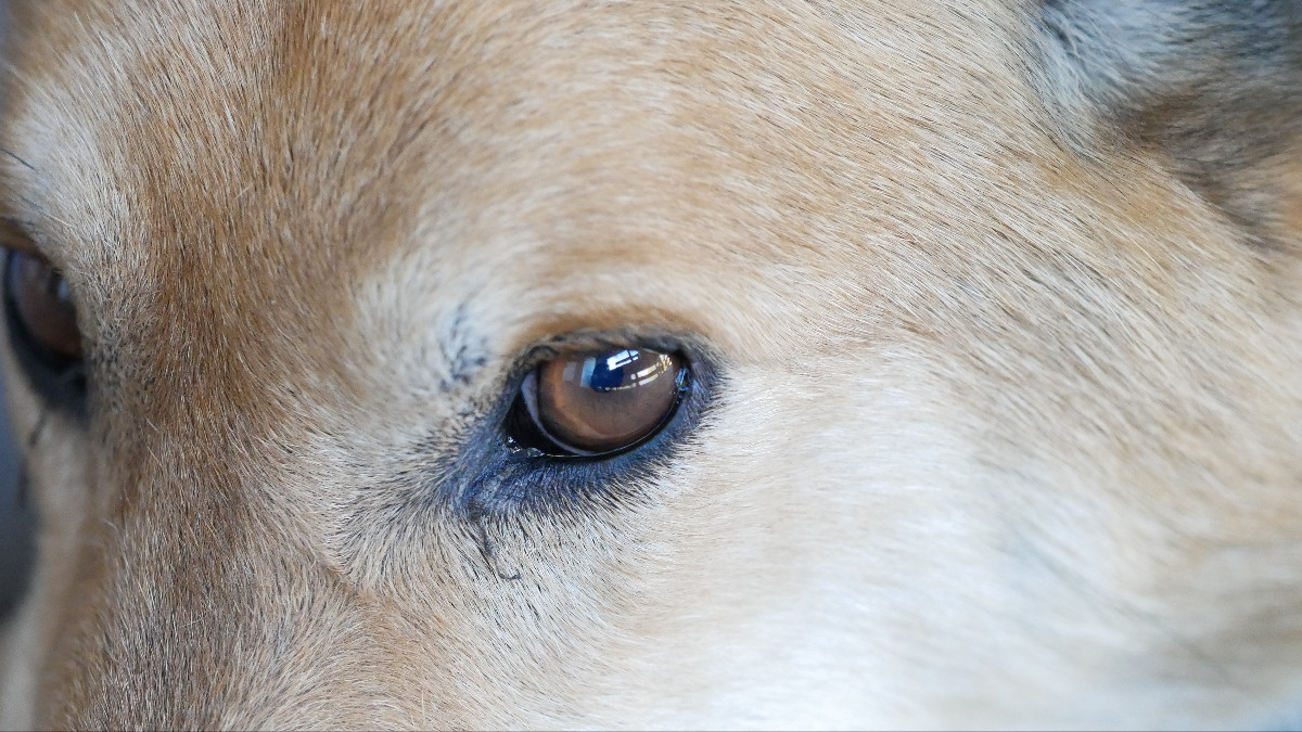 5b272d55-7a24-4b3a-ad2f-f6c018f88205