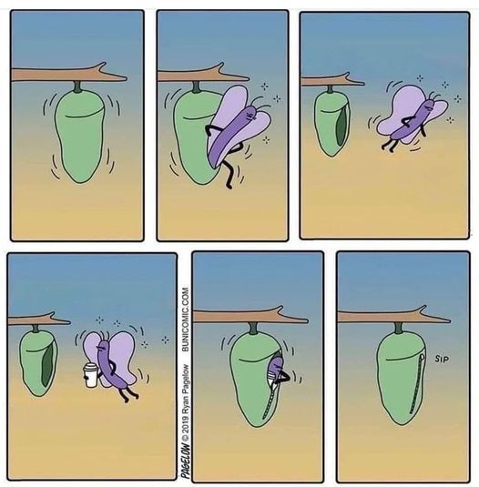 1f75b9fb-4578-4944-bc78-9ec20e580e53