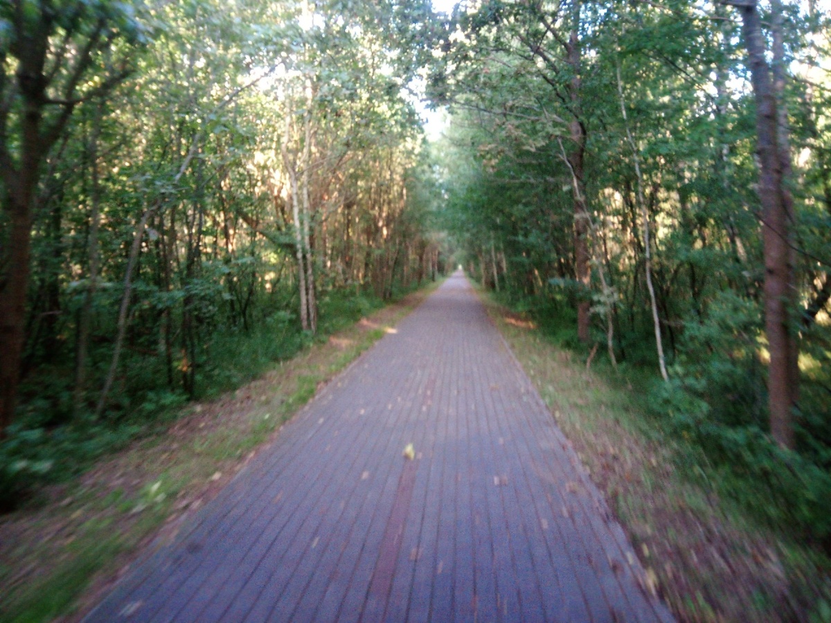 535deeee-760e-4dc0-8195-0090a77c92d9