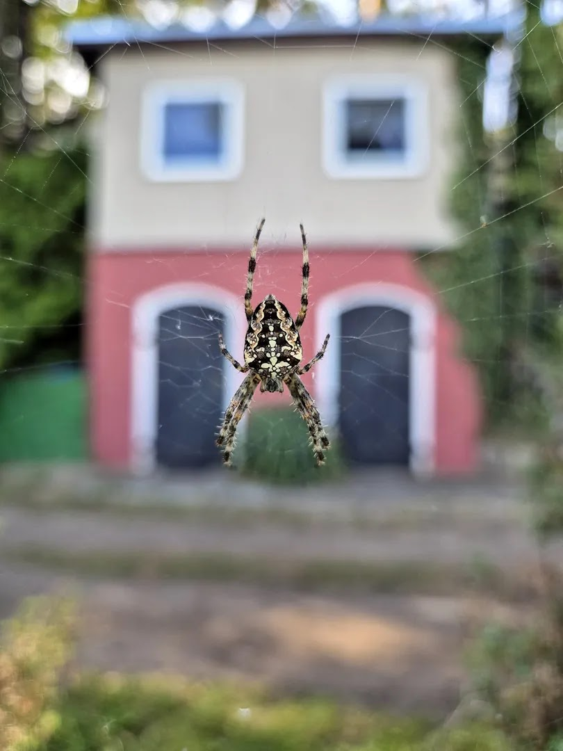 56a06e39-df04-4c1e-b408-4d97a51588d6