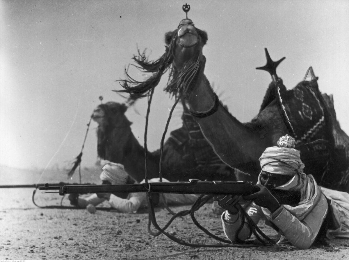 90332ece-b7d5-45fc-8e70-d066e0cce0d2