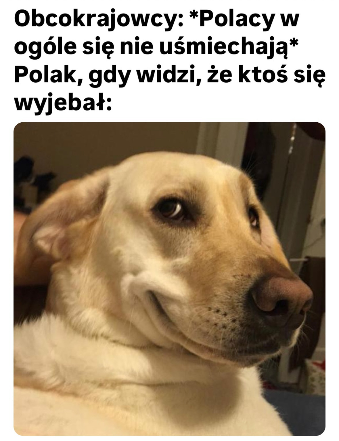 90b0a50d-e4db-4721-ad1a-7183a77f8576